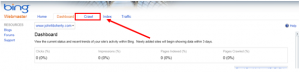 Bing Dashboard Screenshot