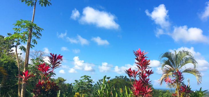 What Snorkeling in Costa Rica Taught Me About Productivity